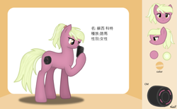 Size: 1465x900 | Tagged: safe, artist:99999999000, oc, oc:susie cotes, earth pony, pony, cellphone, chinese, female, phone, reference sheet, solo