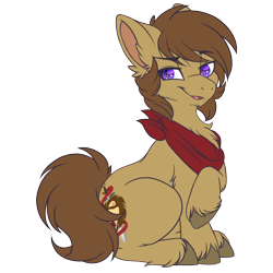 Size: 670x670 | Tagged: safe, artist:red_moonwolf, oc, oc only, oc:lionheart, pony, 2020 community collab, bandana, derpibooru community collaboration, scruffy, sidemouth, simple background, sitting, smiling, smirk, solo, transparent background, unshorn fetlocks