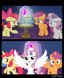Size: 1288x1572 | Tagged: safe, artist:cloudyglow, edit, edited screencap, editor:teren rogriss, screencap, apple bloom, scootaloo, sweetie belle, alicorn, earth pony, pegasus, pony, unicorn, growing up is hard to do, alicornified, bloomicorn, bow, comic, cutie mark crusaders, female, filly, floppy ears, flower, foal, gritted teeth, hair bow, hooves, horn, open mouth, race swap, raised hoof, rational fic bait, sad, scootacorn, screencap comic, smiling, spread wings, sweetiecorn, tabun, tongue out, transformation, twilight's castle, vector, wings, wishing flower, xk-class end-of-the-world scenario
