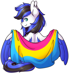 Size: 1749x1845 | Tagged: safe, artist:ak4neh, oc, oc only, oc:black ice, pegasus, pony, clothes, cute, female, flag, looking at you, mare, pansexual pride flag, pegasus oc, pride, pride flag, simple background, sitting, solo, spread wings, transparent background, wings
