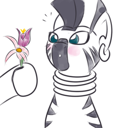 Size: 370x388 | Tagged: safe, artist:yakoshi, zecora, pony, zebra, blushing, cropped, cute, ear piercing, female, flower, hoof hold, mare, monochrome, offscreen character, partial color, piercing, simple background, solo focus, white background, zecorable