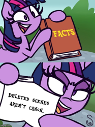 Size: 500x667 | Tagged: safe, twilight sparkle, twilight sparkle (alicorn), alicorn, pony, book, comic, exploitable meme, female, hoof hold, mare, meme, solo, twilight's fact book