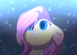 Size: 2800x2000 | Tagged: safe, artist:glitterstar2000, fluttershy, pegasus, pony, bust, cute, ear fluff, female, floppy ears, high res, mare, neck fluff, portrait, shyabetes, snow, snowflake, solo, winter