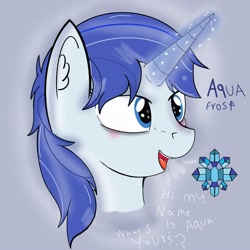 Size: 2500x2500 | Tagged: safe, artist:paperlover, oc, oc only, oc:aqua frost, pony, unicorn, blushing, bust, cutie mark, dialogue, ear fluff, female, magic, magic aura, mare, reference sheet, solo