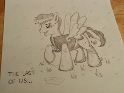 Size: 3264x2448 | Tagged: safe, artist:lucas_gaxiola, pegasus, pony, clothes, irl, male, photo, ponified, raised hoof, stallion, text, the last of us, traditional art