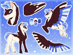 Size: 1280x951 | Tagged: safe, artist:sadelinav, oc, oc:sadelina, pegasus, pony, colored wings, female, mare, multicolored wings, reference sheet, solo, wings