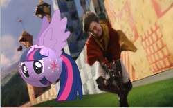 Size: 554x345 | Tagged: safe, artist:vanny22ify, twilight sparkle, twilight sparkle (alicorn), alicorn, human, pony, ball, broom, crossover, female, flying, golden snitch, harry potter, inanimate tf, male, mare, morph ball, quidditch, transformation, twiball