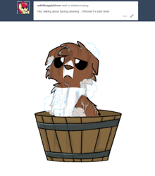 Size: 800x911 | Tagged: safe, artist:askwinonadog, winona, dog, ask, ask winona, bath, bath time, bathing, bucket, looking at you, simple background, soap, solo, tumblr, water, wet, white background, winona is not amused