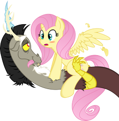 Size: 5000x5098 | Tagged: safe, artist:dfectivedvice, artist:kamyk962, discord, fluttershy, draconequus, pegasus, pony, absurd resolution, age difference, bedroom eyes, biting, blushing, cute, discoshy, discute, feather, female, hair bite, male, open mouth, shipping, shyabetes, simple background, straddling, straight, transparent background, vector