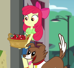 Size: 1076x999 | Tagged: safe, screencap, apple bloom, winona, dog, better together, equestria girls, holidays unwrapped, adorabloom, apple, apple basket, apple bloom's bow, basket, bow, collar, cropped, cute, dog collar, female, food, hair bow, street lamp, the cider louse fools, tongue out