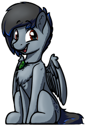 Size: 2718x4032 | Tagged: safe, artist:topicranger, derpibooru exclusive, oc, oc only, oc:topic, pegasus, pony, 2020 community collab, brown eyes, chest fluff, colored, derpibooru community collaboration, jewelry, looking at you, male, necklace, simple background, sitting, smiling, smiling at you, solo, stallion, transparent background, wings