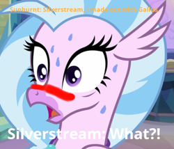 Size: 651x556 | Tagged: safe, artist:gooeybird, edit, edited screencap, screencap, silverstream, hippogriff, student counsel, 1000 hours in ms paint, blushing, blushing profusely, caption, cropped, implied gallburst, implied gallstream, implied gallus, implied gay, implied griffon on pony action, implied pony on griffon action, implied shipping, implied sunburst, meme, misspelling, questioning, say what, shocked expression, solo, sweat, sweating profusely