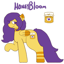 Size: 2000x2000 | Tagged: safe, artist:rigbythememe, oc, oc only, oc:honeybloom (rigbythememe), pegasus, pony, reference sheet, simple background, solo, transparent background