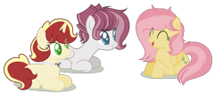 Size: 2688x1124 | Tagged: safe, artist:browniepawyt, oc, oc only, oc:apple wine, oc:primrose, pegasus, pony, female, mare, offspring, parent:applejack, parent:flim, parents:flimjack, prone, simple background, transparent background