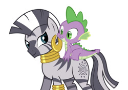 Size: 750x531 | Tagged: artist needed, safe, editor:undeadponysoldier, spike, zecora, dragon, earth pony, pony, zebra, female, male, mare, riding, shipping, simple background, spicora, straight, white background