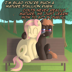 Size: 800x800 | Tagged: safe, artist:crispokefan, oc, oc only, oc:melony, oc:rubik, pony, ask, ask pun, bench, female, male, mare, stallion, tree