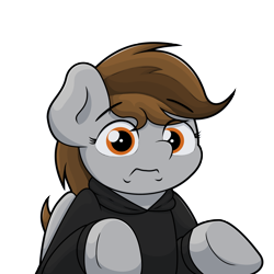 Size: 1920x1920 | Tagged: safe, artist:ljdamz1119, oc, oc:penny page, pegasus, pony, clothes, guess i'll die, hoodie, meme, ponified meme, simple background, solo, transparent background