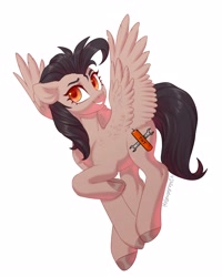 Size: 3160x3951 | Tagged: safe, artist:helemaranth, oc, oc:mayata, pegasus, pony, solo