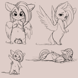 Size: 4000x4000 | Tagged: safe, artist:miokomata, fluttershy, bird, hybrid, pegasus, penguin, pony, behaving like a bird, belly button, chest fluff, featureless crotch, female, floppy ears, freckles, looking at you, mare, monochrome, simple background, white background