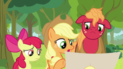 Size: 1920x1080 | Tagged: safe, derpibooru import, screencap, apple bloom, applejack, big macintosh, earth pony, pony, going to seed