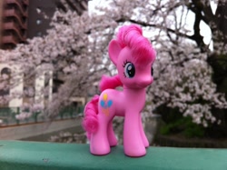 Size: 960x717 | Tagged: safe, derpibooru import, photographer:hellbuny, pinkie pie, earth pony, pony, cherry blossoms, flower, flower blossom, sakura pie, toy, tree