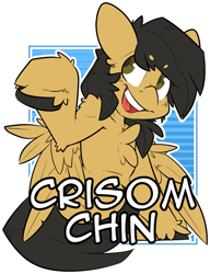 Size: 1569x2048 | Tagged: safe, artist:bbsartboutique, oc, oc:crisom chin, pegasus, badge, solo, wings