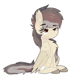 Size: 1024x1095 | Tagged: safe, artist:ezzerie, oc, oc:wakeup call, pegasus, pony, colored, digital, fluffy, fullbody, pegasus oc, shading, simple background, solo, transparent background