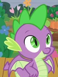 Size: 382x511 | Tagged: safe, screencap, spike, dragon, the point of no return, claws, cropped, male, smiling, winged spike, wings