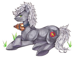 Size: 800x617 | Tagged: safe, artist:greyradian, oc, oc only, oc:silver dare, pony, camera, simple background, solo