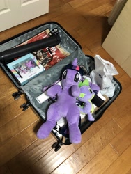 Size: 3024x4032 | Tagged: safe, spike, twilight sparkle, twilight sparkle (alicorn), alicorn, dragon, bags, bronycon 2019