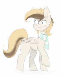 Size: 1600x1925 | Tagged: safe, artist:c0pter, oc, oc:coffe, pegasus, pony, clothes, pegasus oc, scarf, simple background, solo, white background