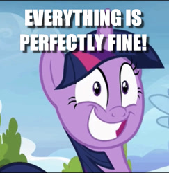 Size: 728x750 | Tagged: safe, edit, edited screencap, screencap, twilight sparkle, twilight sparkle (alicorn), alicorn, top bolt, blatant lies, caption, cropped, image macro, solo, text