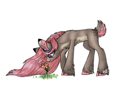 Size: 2048x1536 | Tagged: safe, artist:melonseed11, oc, oc:silent meadow, deer pony, original species, female, flower, simple background, solo, transparent background