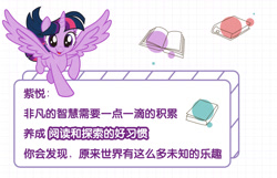 Size: 1242x798 | Tagged: safe, twilight sparkle, twilight sparkle (alicorn), alicorn, pony, my little pony: the movie, book, chinese, name translation, official, solo, stock vector, text