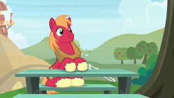 Size: 1920x1080 | Tagged: safe, screencap, big macintosh, pony, the big mac question, solo