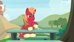 Size: 1920x1080 | Tagged: safe, screencap, big macintosh, pony, the big mac question, solo