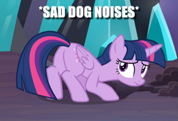 Size: 1089x747 | Tagged: safe, edit, edited screencap, screencap, twilight sparkle, twilight sparkle (alicorn), alicorn, the beginning of the end, behaving like a dog, butt, caption, descriptive noise, female, image macro, plot, sad, solo, text