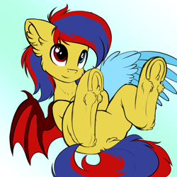 Size: 3500x3500 | Tagged: safe, artist:airfly-pony, oc, oc:starflame blood, bat pony, pony, bat pony oc, cute, featureless crotch, frog (hoof), gradient background, heterochromia, male, rcf community, solo, stallion, underhoof