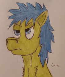 Size: 1082x1276 | Tagged: safe, artist:rapidsnap, oc, oc:rapidsnap, pony, bored, grumpy, traditional art, unamused