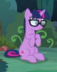 Size: 257x326 | Tagged: safe, screencap, sci-twi, twilight sparkle, unicorn, better together, equestria girls, spring breakdown, cropped, equestria girls ponified, glasses, unicorn sci-twi