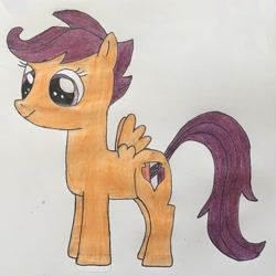 Size: 2553x2548 | Tagged: safe, artist:darkyboode32, scootaloo, pegasus, pony, artwork, colored, cute, cutealoo, darkyboode32 is not trying to murder anyone, drawing, female, filly, solo, traditional art