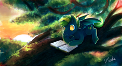 Size: 2534x1378 | Tagged: safe, artist:r0b0tassassin, oc, oc only, bat pony, pony, bat pony oc, book, solo, tree, tree branch