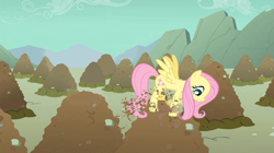 Size: 600x337 | Tagged: safe, edit, edited screencap, screencap, fluttershy, pegasus, pony, a dog and pony show, digging, pile, sky