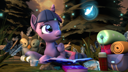 Size: 3840x2160 | Tagged: safe, artist:alicorntwilysparkle, owlowiscious, twilight sparkle, twilight sparkle (alicorn), alicorn, butterfly, pony, 3d, bags, book, duo, forest, hot drink, open mouth, revamped ponies, scroll, source filmmaker, steam