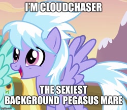 Size: 579x500 | Tagged: safe, edit, edited screencap, screencap, cloudchaser, helia, pegasus, pony, hurricane fluttershy, caption, cropped, female, image macro, mare, meme, solo focus, text