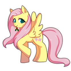 Size: 1024x1024 | Tagged: safe, artist:solareflares, fluttershy, pegasus, pony, christmas, cute, ear fluff, female, holiday, holly, looking at you, mare, mouth hold, shyabetes, simple background, solo, spread wings, transparent background, white outline, wings