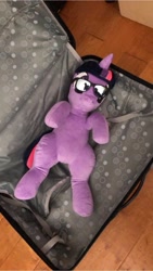 Size: 1152x2048 | Tagged: safe, twilight sparkle, pony, irl, photo, plushie, suitcase, sunglasses