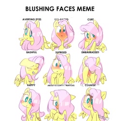 Size: 1280x1280 | Tagged: dead source, safe, artist:taqibun, fluttershy, pegasus, pony, :i, :t, bashful, blushing, bust, cute, embarrassed, expressions, female, floppy ears, happy, hiding behind mane, mare, meme, multeity, nervous, shyabetes, simple background, solo, surprised, weapons-grade cute, white background, wings