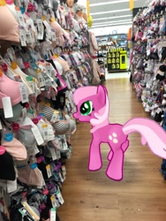 Size: 3024x4032 | Tagged: safe, photographer:undeadponysoldier, cheerilee, earth pony, pony, augmented reality, bra, clothes, female, gameloft, irl, mare, photo, ponies in real life, shopping, solo, underwear