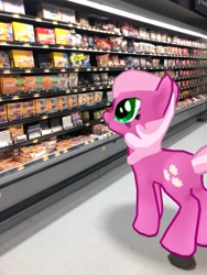 Size: 3024x4032 | Tagged: safe, photographer:undeadponysoldier, cheerilee, earth pony, pony, augmented reality, female, food, gameloft, irl, lunchable, mare, photo, ponies in real life, shopping, solo, walmart